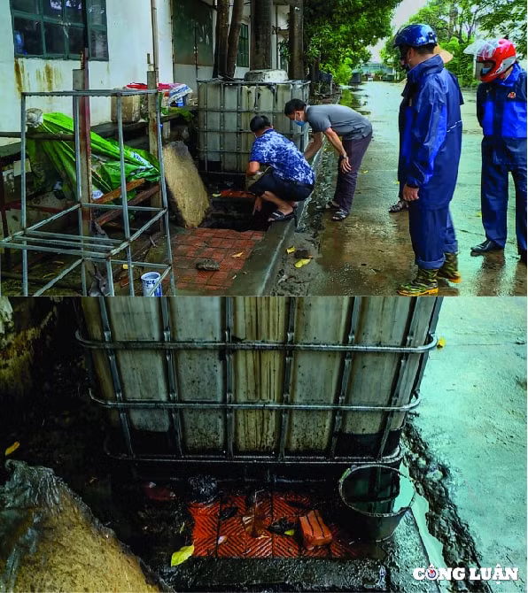 huyen phuc tho ha noi can canh dau thai xa trom ra ruong nhuom 1 mau den kit mui khet let hinh 12