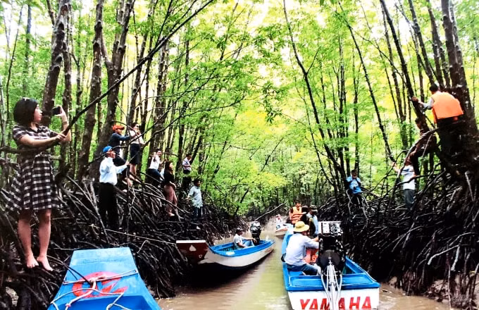 ca mau len ke hoach phuc hoi du lich sau dai dich covid 19 hinh 2