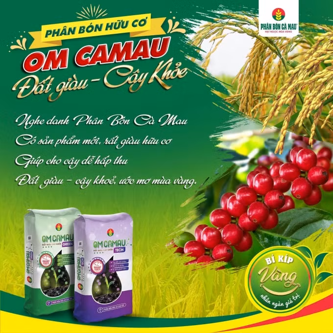 phan bon ca mau ho tro nong dan su dung om ca mau hinh 1