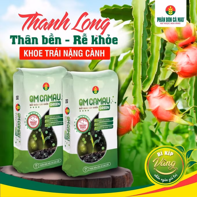 phan bon ca mau ho tro nong dan su dung om ca mau hinh 2