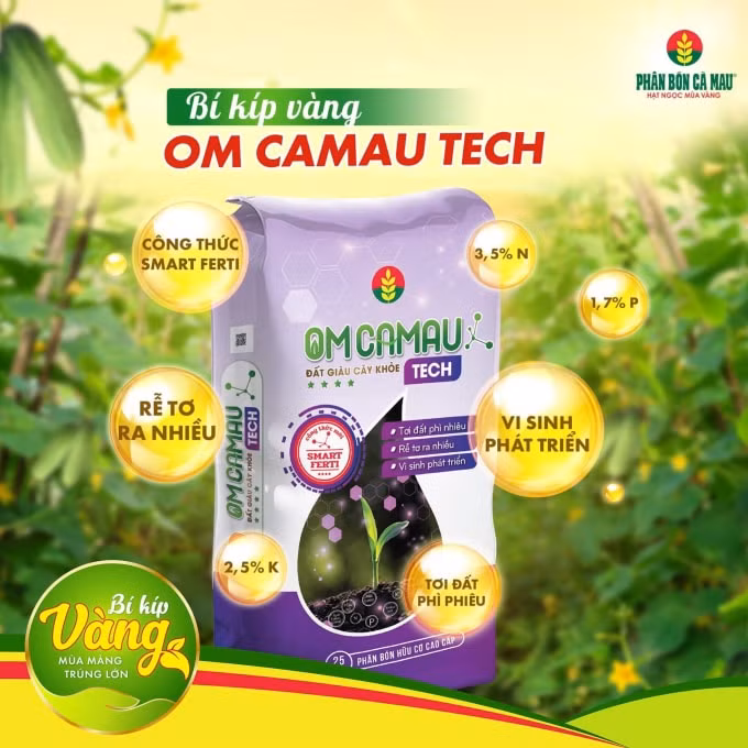 phan bon ca mau ho tro nong dan su dung om ca mau hinh 3