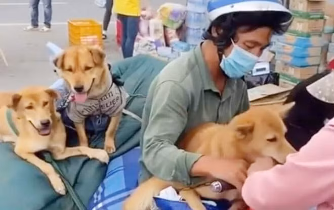 ca mau tieu huy dan cho do ap luc phong chong dich va nguoi dan hinh 1