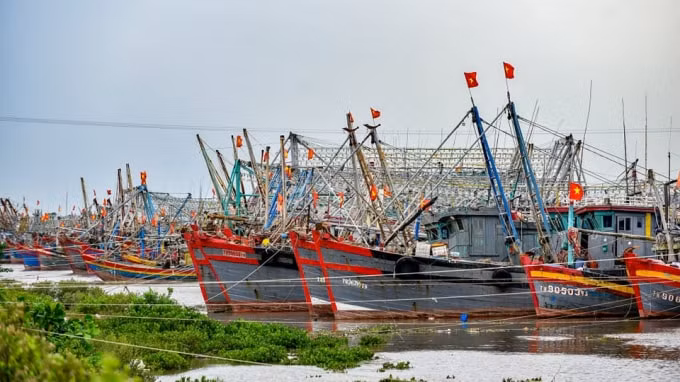 thanh hoa cam bien de ung pho voi bao so 8 hinh 1