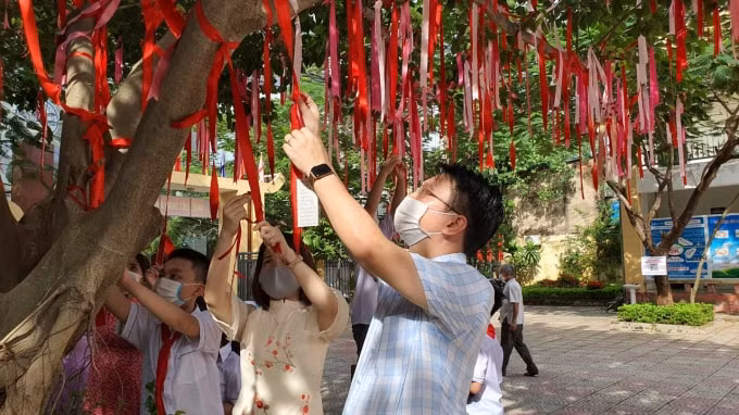 hoc sinh thich thu ve cay dieu uoc giua san truong hinh 3