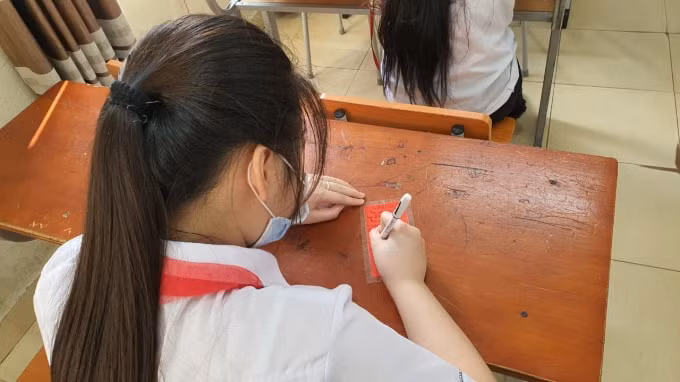 hoc sinh thich thu ve cay dieu uoc giua san truong hinh 4
