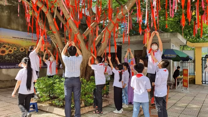 hoc sinh thich thu ve cay dieu uoc giua san truong hinh 1