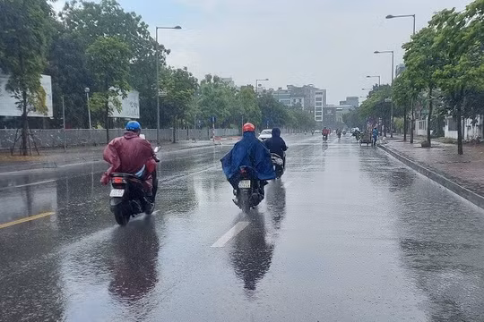 Dự báo thời tiết ngày 12/7: Nghệ An tới Quảng Trị cục bộ có nơi mưa rất to