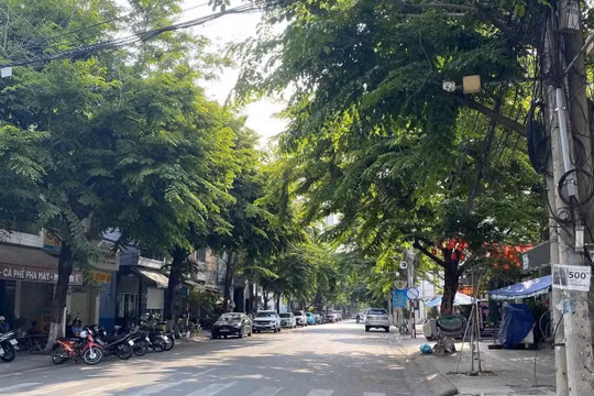 Dự báo thời tiết ngày 9/9: Bắc Bộ chuyển mát, có mưa từ chiều tối