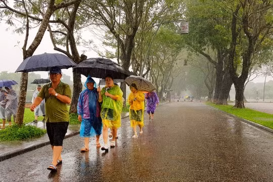 Dự báo thời tiết ngày 1/9: Thanh Hoá đến Huế có nơi mưa lớn