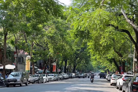 Dự báo thời tiết ngày 23/9: Miền Bắc ngày nắng, mưa về đêm
