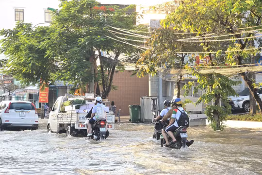 Dự báo thời tiết ngày 14/10: Triều cường Nam Bộ rút dần, mưa dông tiếp diễn