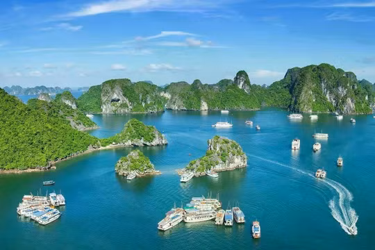 Vì một nền văn minh sinh thái, một Việt Nam xanh và một đại dương hoà bình, bền vững