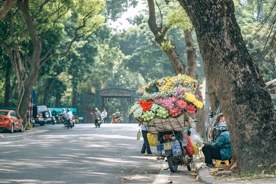 Dự báo thời tiết ngày 30/8: Bắc Bộ ngày nắng, đêm mưa dông