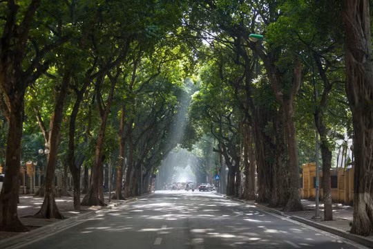 Dự báo thời tiết ngày 10/6: Bắc Bộ, Nam Bộ ngày nắng, chiều tối mưa dông