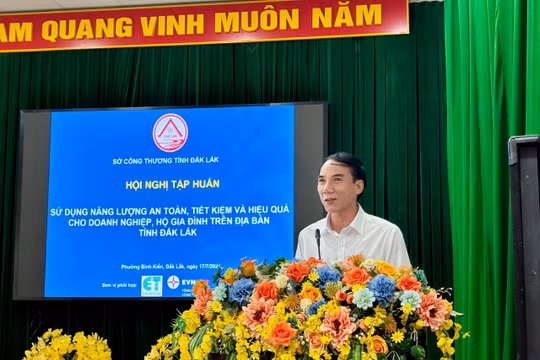 Đắk Lắk tập huấn sử dụng năng lượng tiết kiệm, hiệu quả cho hộ gia đình và doanh nghiệp
