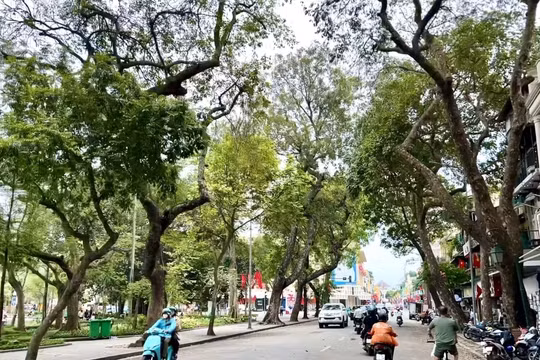 Dự báo thời tiết ngày 10/5: Hà Nội có lúc có mưa, cao nhất 30 độ