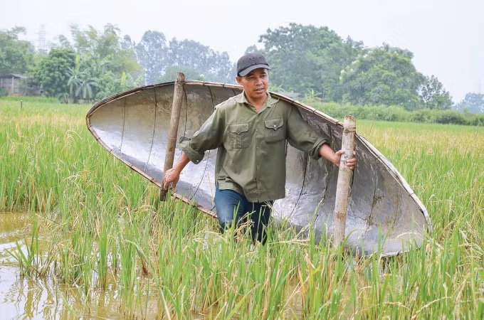 Anh nông dân Nguyễn Anh Đài ở thôn Thọ Khánh, xã Hợp Thịnh (Tam Dương, Vĩnh Phúc) vác thuyền trên lưng, dùng thuyền băng qua các ruộng bỏ hoang.
