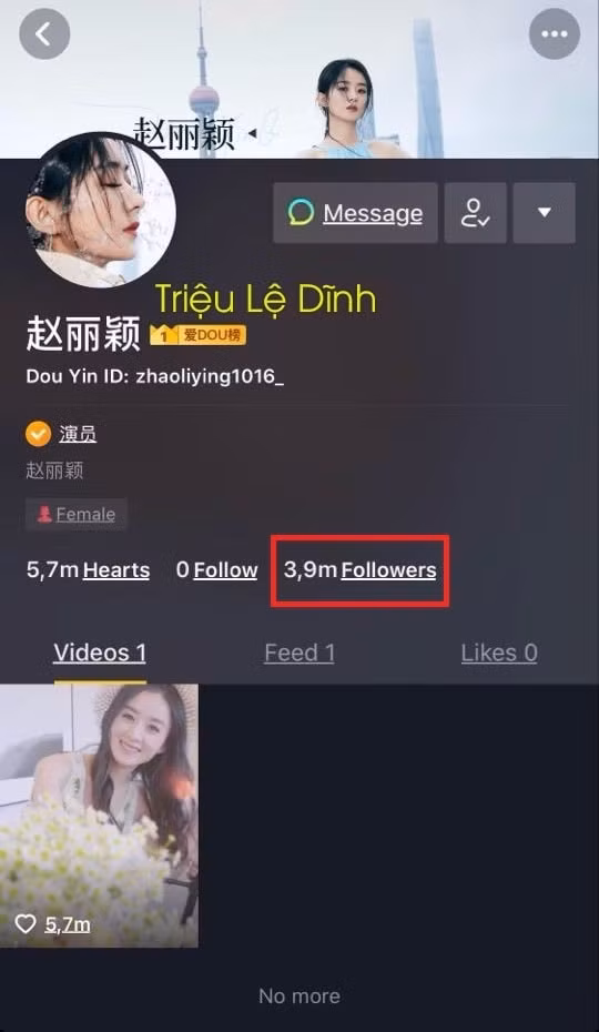 lệ dĩnh1