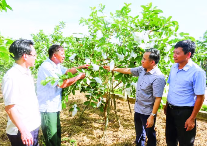 Đồng chí Bùi Quang Hoàn cùng lãnh đạo xã Kỳ Đồng thăm mô hình kinh tế gia đình ông Nguyễn Văn Thê cho thu nhập mỗi năm 200 triệu đồng.