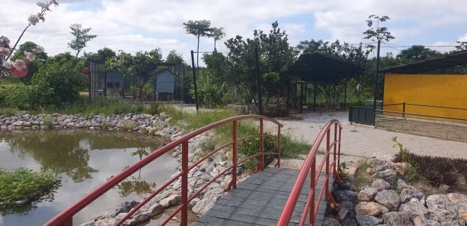 Rất nhiều công trình xây dựng trái phép trên diện tích hàng nghìn mét vuông đất sản xuất nông nghiệp