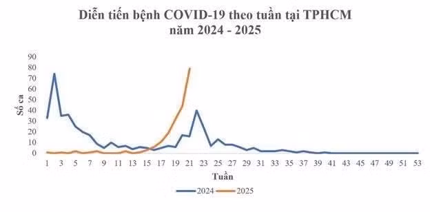 Diễn tiến bệnh Covid theo tuần tại TP HCM.