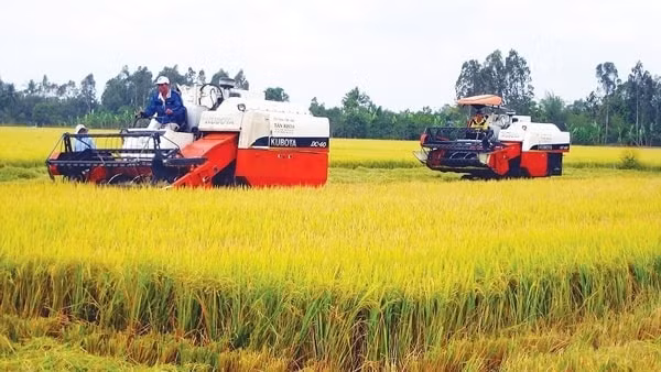 Kế hoạch đầu tư công trung hạn tại Bộ Nông nghiệp và PTNT giai đoạn 2016 - 2020 đã được Thủ tướng điều chỉnh&nbsp;lên 3.900 tỷ đồng. Ảnh minh họa
