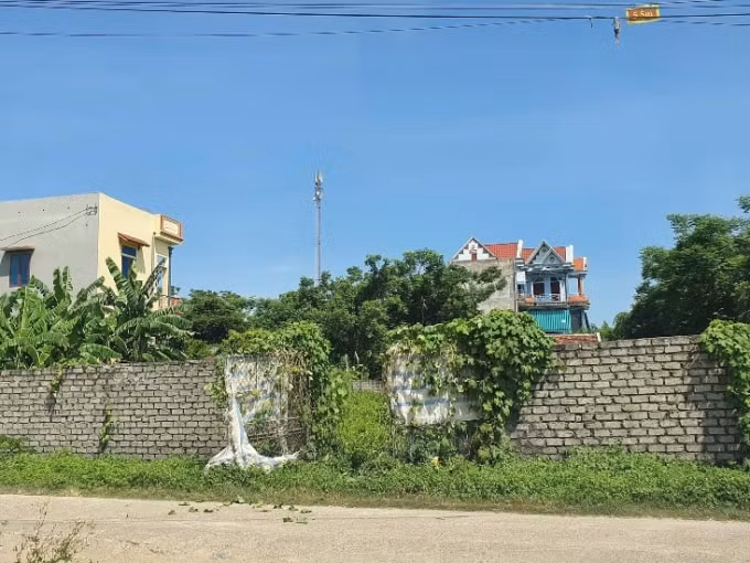 Khu đất ô nhiễm môi trường do rò rỉ hóa chất độc hại đã được xử lý đang bỏ hoang tại Vĩnh Lộc