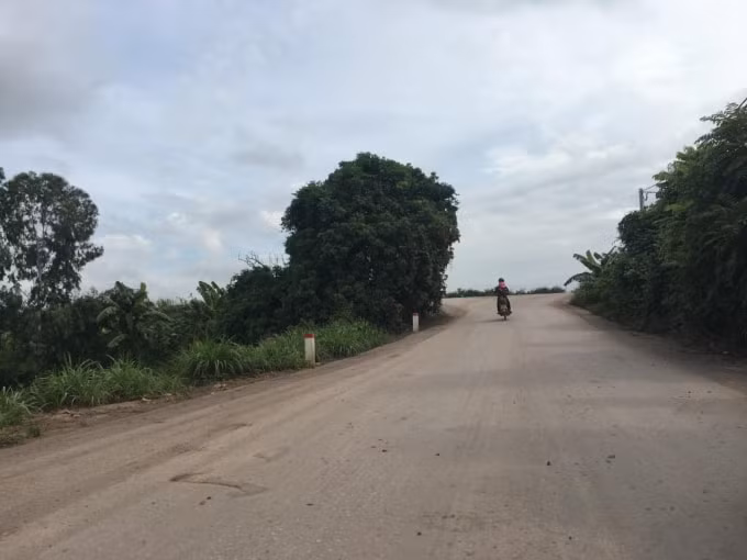 Đoạn dốc đê được vuốt đầu dốc là 60m trải bê tông nhựa Asphalt.