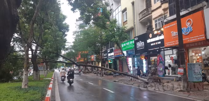 Mưa to kèm theo gió lớn khiến nhiều cây cối trên đường gãy đổ gây nguy hiểm cho người tham gia giao thông