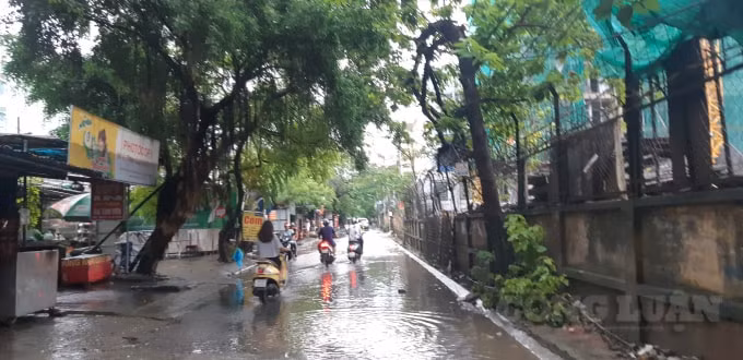 Từ đường lớn đến ngõ nhỏ của Hà Nội đều bị biến thành sông