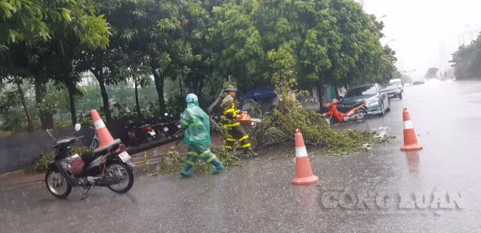 Công nhân môi trường dọn dẹp cây xanh gãy đổ, đảm bảo an toàn giao thông