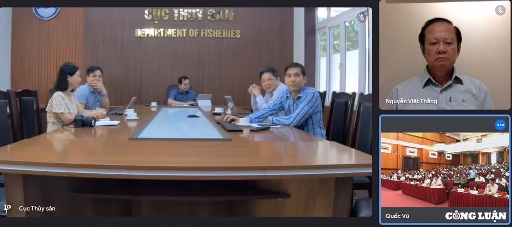 cung ngu dan thap sang den tren bien den voi ngu dan thanh hoa hinh 6