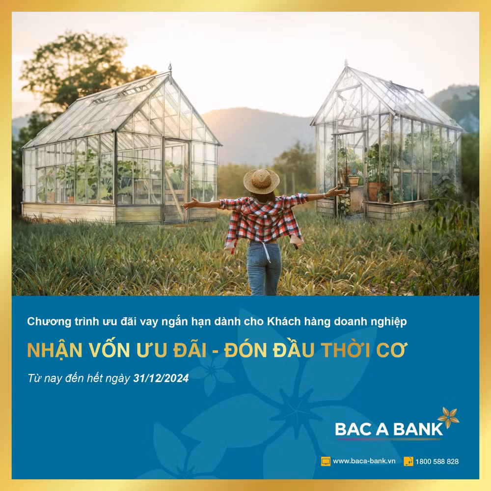 bac a bank uu dai lai xuat cho doanh nghiep vay ngan han hinh 1