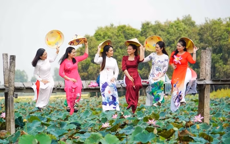 le hoi sen dong thap nam 2024 se co nhieu hoat dong nhat tu truoc den nay hinh 2