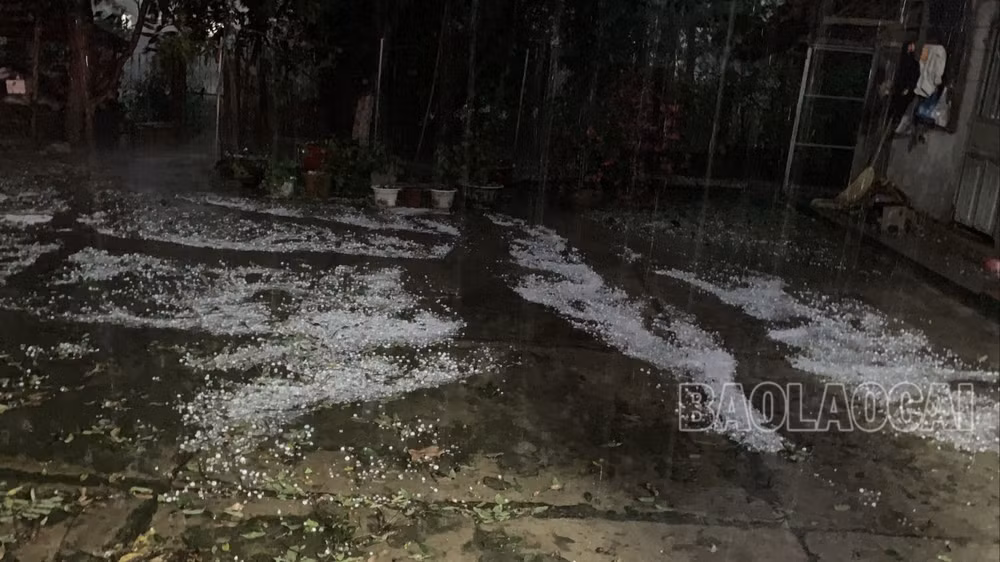 xuat hien mua da co kich thuoc to nhu qua trung ga tai lao cai hinh 1