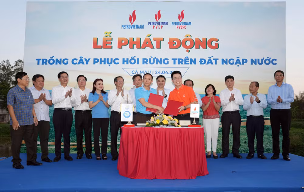 petrovietnam phat dong trong cay phuc hoi rung tren dat ngap nuoc hinh 3