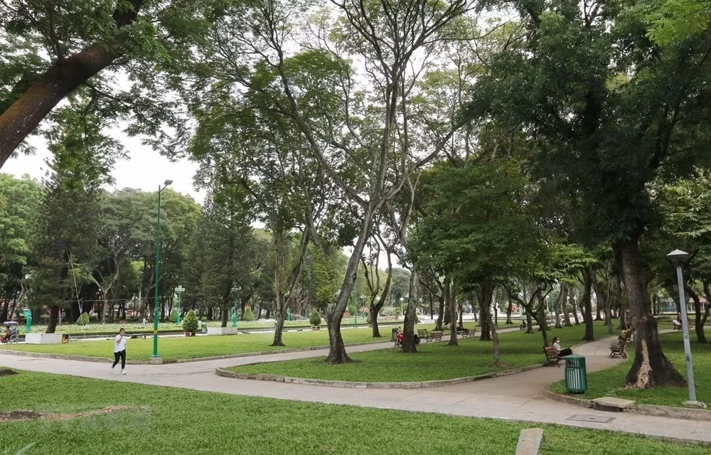 tp hcm dat chi tieu trong moi va cai tao 12000 cay xanh trong giai doan 2024 2025 hinh 1