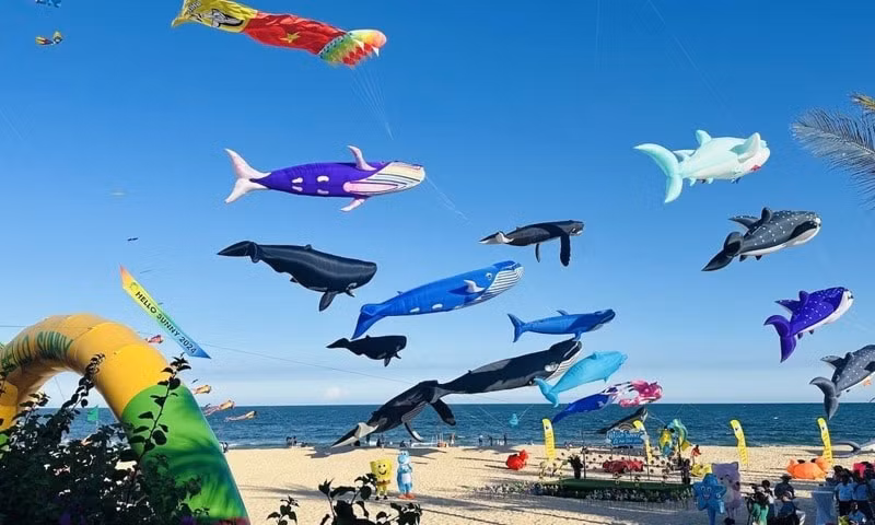 hao hung le hoi tha dieu hello sunny phan thiet hinh 2