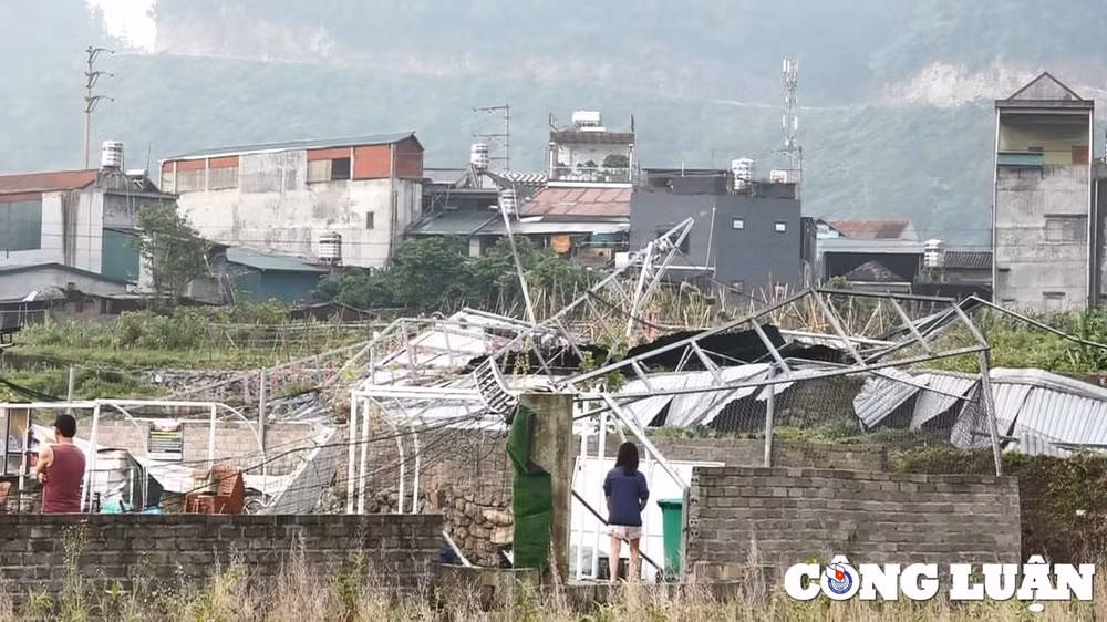 ha giang mua lon kem giong loc manh khien hang chuc nha dan bi toc mai hinh 5