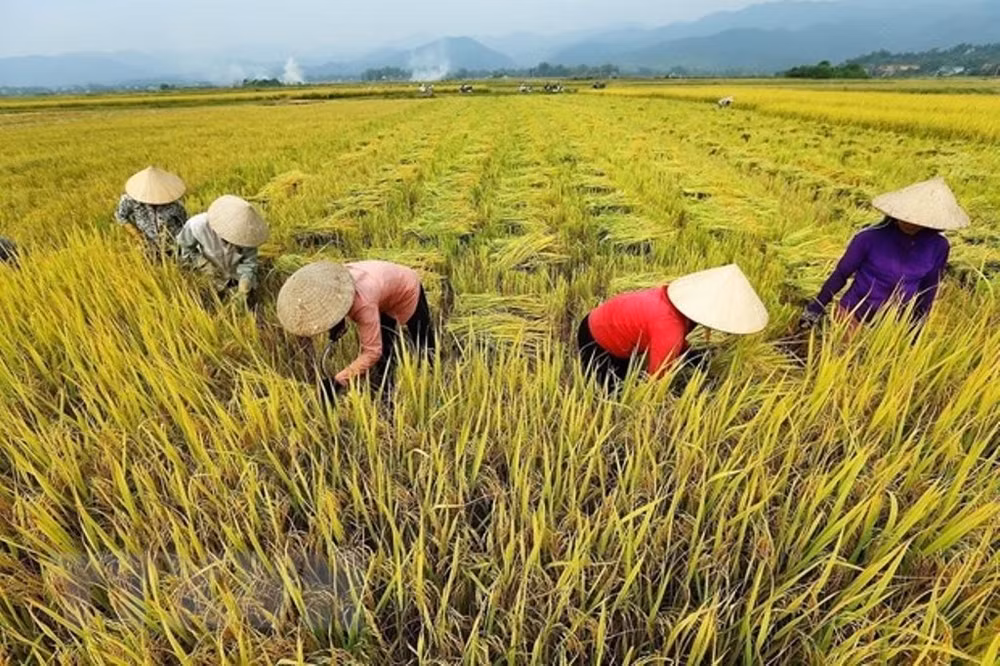dien bien phu vanh hoa do thien su vang choi loi cua lich su chong ngoai xam hinh 6