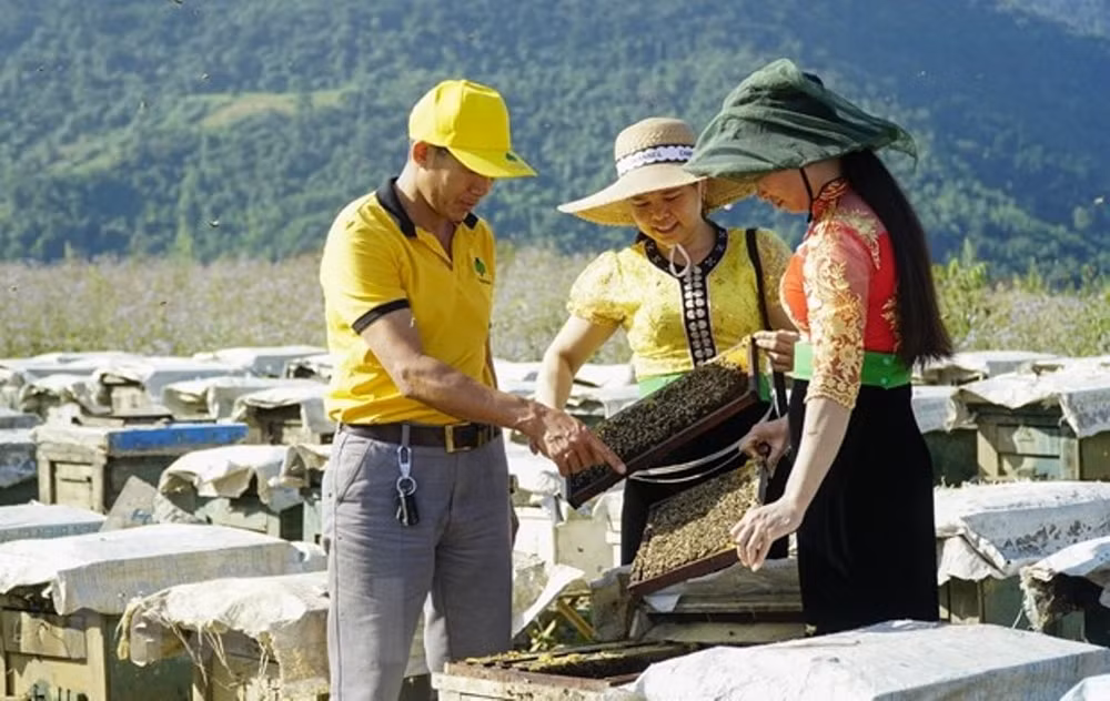 dien bien phu vanh hoa do thien su vang choi loi cua lich su chong ngoai xam hinh 5