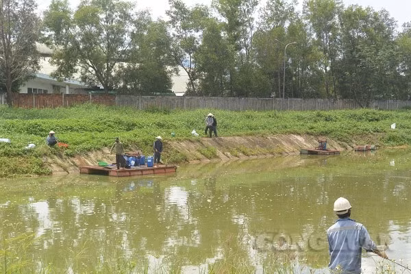 Sự cố tràn dầu khiến người dân địa phương rất bức xúc.