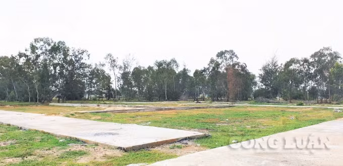 Tháng 8/2018, ông Huỳnh Tấn Vỹ ký hợp đồng thỏa thuận chuyển nhượng quyền sử dụng đất cho Công ty Cổ phần Nhất Thành Nam.