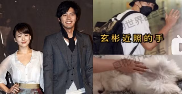 Cánh tay của 1 người trong clip về chú chó của Song Hye Kyo fan nghi ngờ là cánh tay của Hyun Bin.