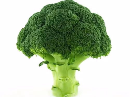 bong-cai-xanh