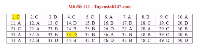 made111dapan