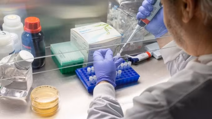 Cuộc đua tìm ra vaccine Covid-19 đang diễn ra quyết liệt trên toàn cầu. Ảnh: TL.