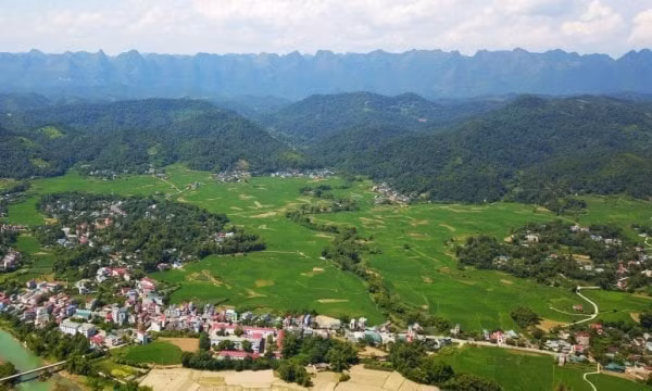 Cánh đồng Bản Vạn, xã Bế Triều, huyện Hòa An, Cao Bằng