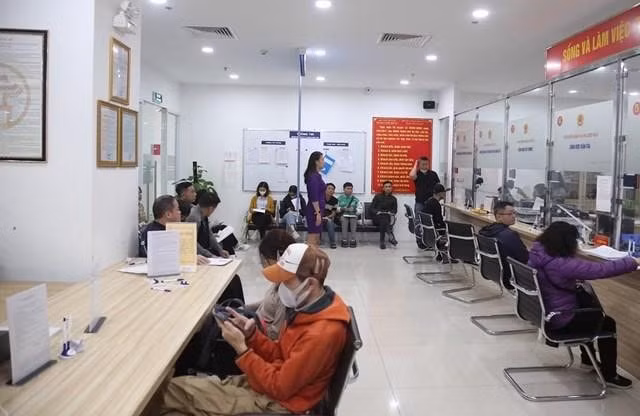 ha noi tam dung cap doi giay phep lai xe tu 11h ngay 31 12 hinh 1