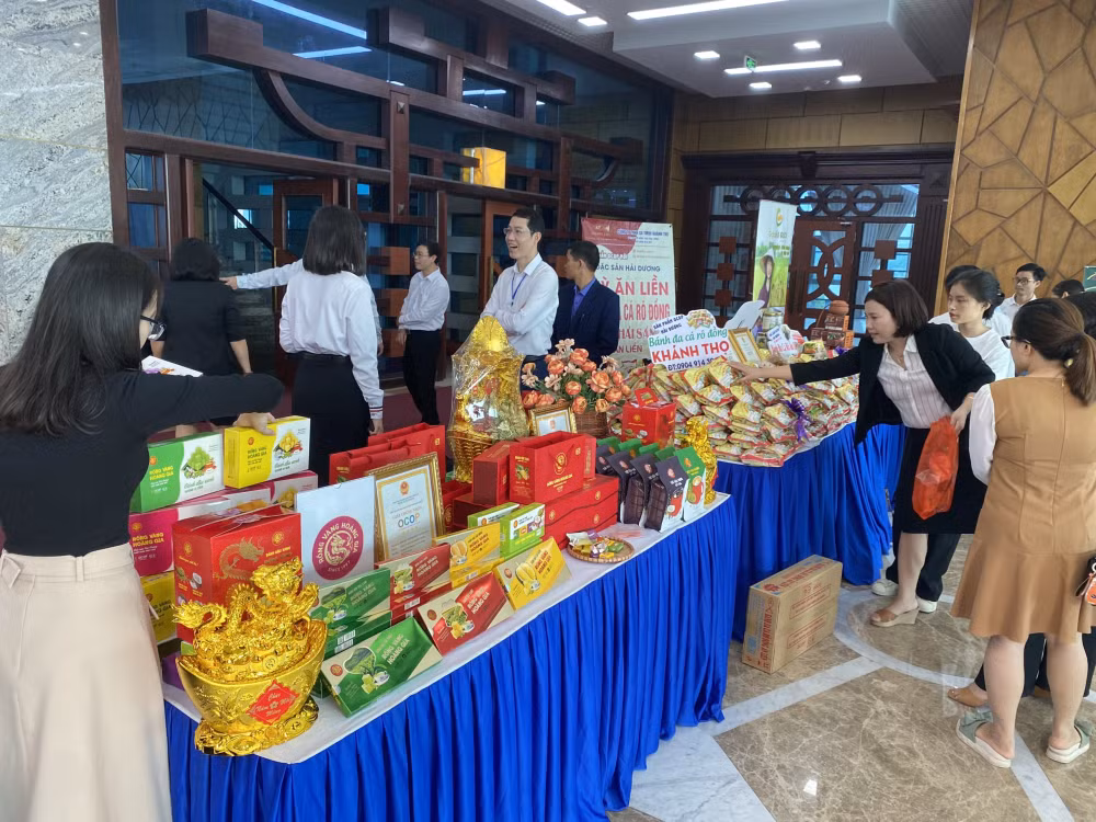 hai duong hoi nghi tong ket san xuat nam 2023 trien khai ke hoach san xuat nam 2024 cac tinh phia bac hinh 7